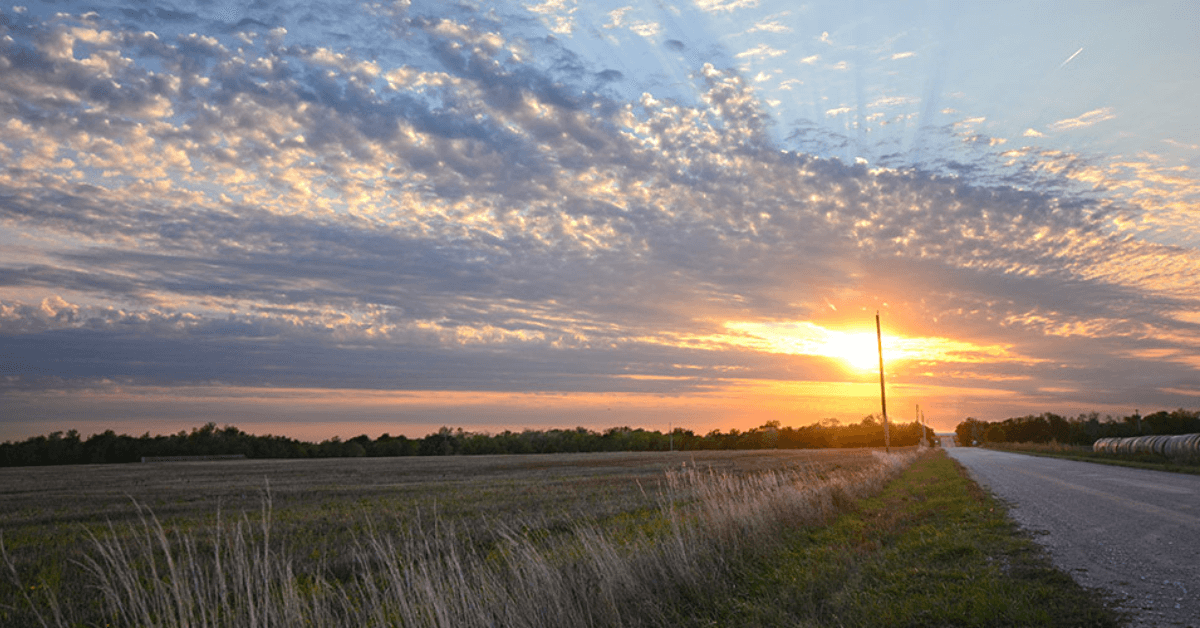 Featured Image for What Are Mineral Rights?